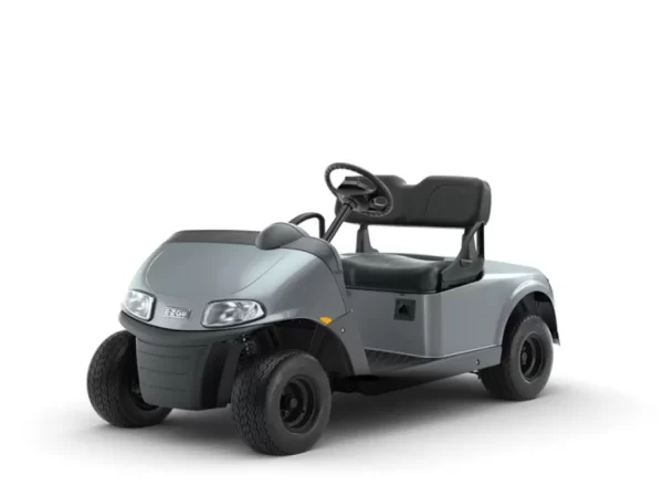 E-Z-GO Freedom RXV ELiTE for sale at Downtown GOLF CART