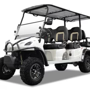 2023 Star EV Sirius Golf cart for sale at Downtown GOLF CART