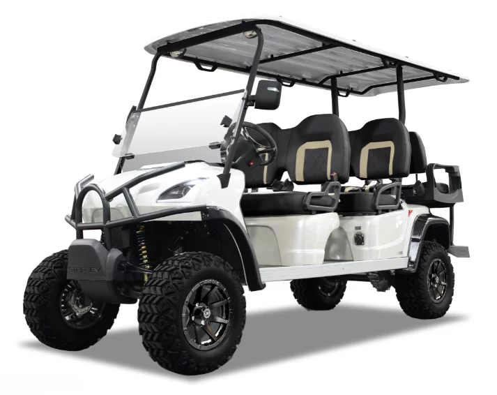 2023 Star EV Sirius Golf cart for sale at Downtown GOLF CART